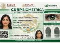 ¿Qué es la CURP biométrica y cómo tramitarla en 2026? Requisitos y paso a paso