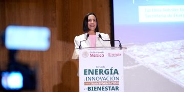 Sin incrementar la producción de petróleo se debe generar la energía para el país: Luz Elena González