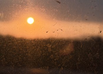 Continúa la contingencia ambiental en el Valle de México; estos autos no circulan el domingo