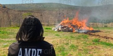 Autoridades federales destruyeron toneladas de droga en operativo