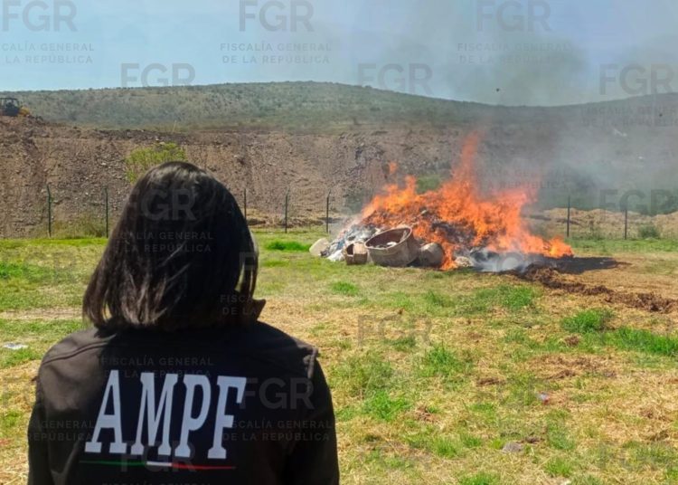 Autoridades federales destruyeron toneladas de droga en operativo