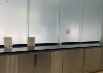 Magnicharters suspende vuelos en México: qué está pasando con la aerolínea