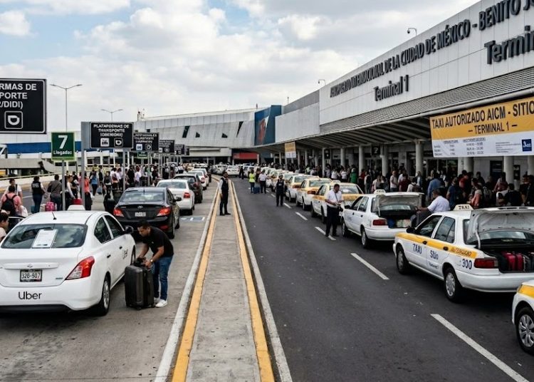 "Debe priorizarse la elección del usuario sobre su transporte": Malpica