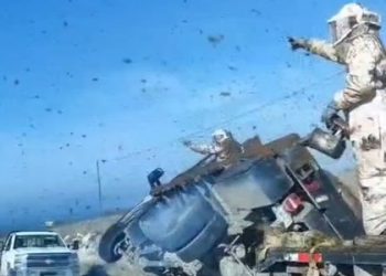 Emergencia en Nuevo León: Enjambres de abejas invaden carretera tras volcadura de tractocamión.