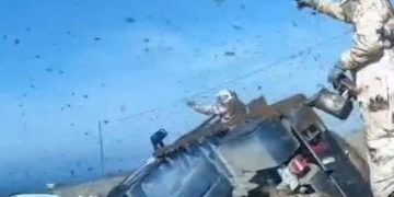 Emergencia en Nuevo León: Enjambres de abejas invaden carretera tras volcadura de tractocamión.