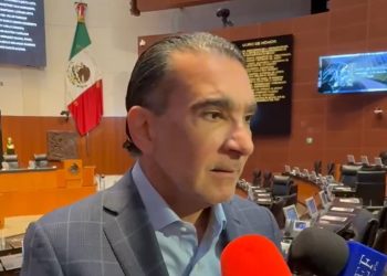 “No somos una extensión de Morena”: El Partido Verde anuncia que irá solo en 2027