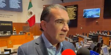 “No somos una extensión de Morena”: El Partido Verde anuncia que irá solo en 2027