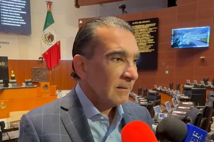 “No somos una extensión de Morena”: El Partido Verde anuncia que irá solo en 2027