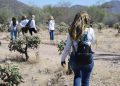 Colectivos hallan al menos 12 fosas clandestinas en Sonora durante jornadas de búsqueda