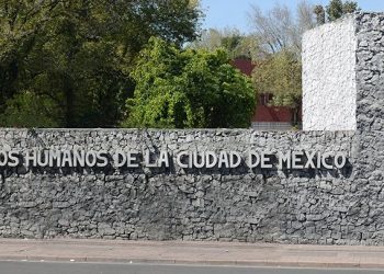 El organismo pidió fortalecer las políticas públicas en la materia