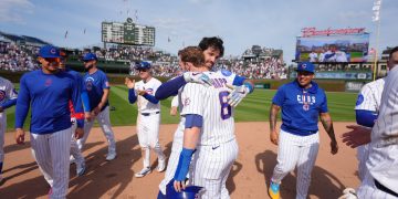 cubs