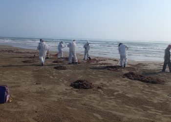 El derrame afecta costas de Veracruz, Tabasco y Campeche