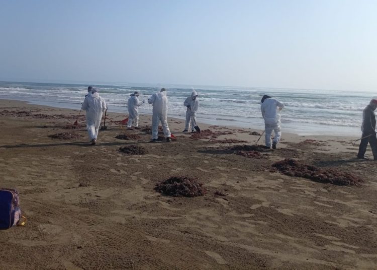 El derrame afecta costas de Veracruz, Tabasco y Campeche