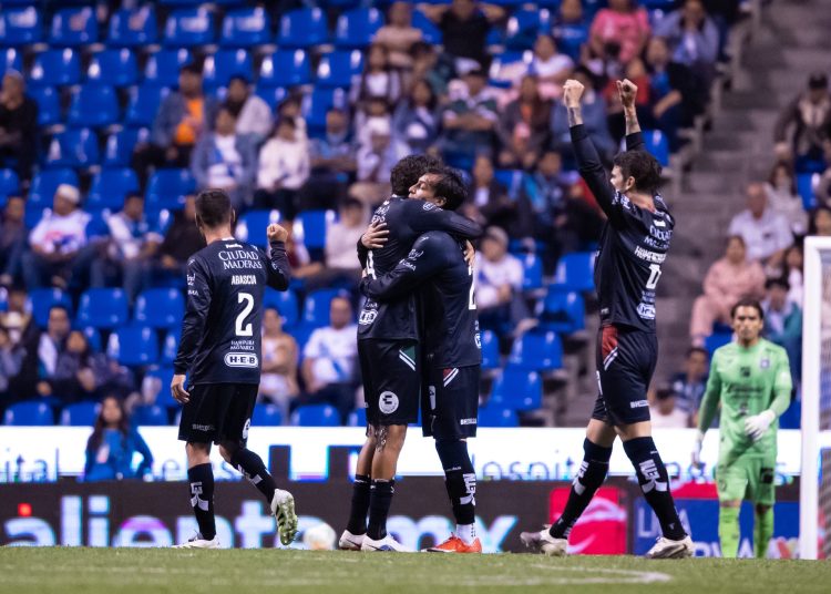 gallos