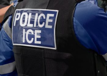 Mónica Laborda: México llevará las muertes de connacionales en custodia del ICE ante la CIDH