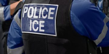 Mónica Laborda: México llevará las muertes de connacionales en custodia del ICE ante la CIDH