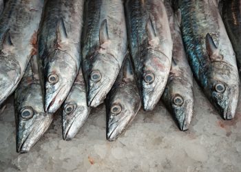 Oceana denuncia que cuatro de cada diez pescados vendidos en México son sustituidos
