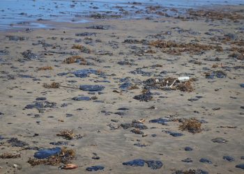 “Se estima que la cantidad de combustible que se derramó en el agua es de 80 mil barriles”: Joaquín Madrigal