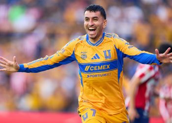 tigres