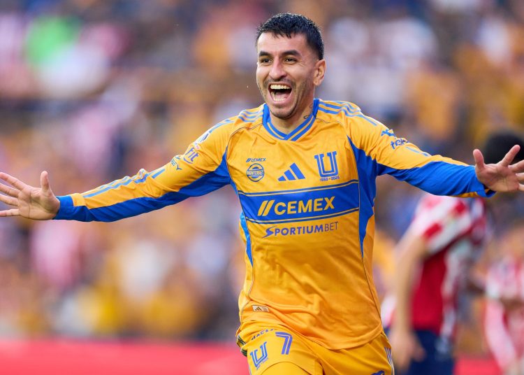 tigres
