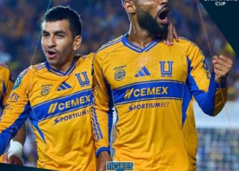 tigres