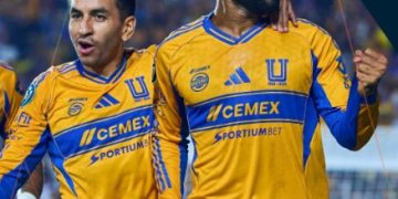 tigres
