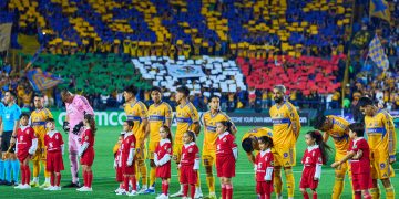 tigres