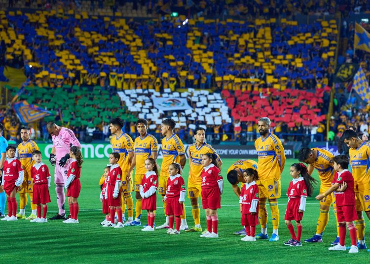 tigres