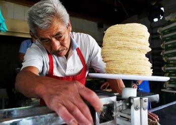 “Tener contacto directo con productores de maíz permitiría estabilidad en el precio”: UNIMT