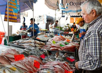 La afluencia de visitantes supera los 480 mil personas en un solo día