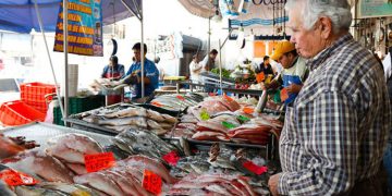 La afluencia de visitantes supera los 480 mil personas en un solo día