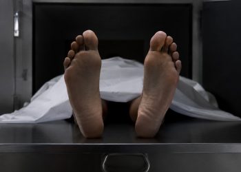 Guadalupe Aguilar denuncia crisis forense: cuerpos pasan hasta 13 años en el SEMEFO