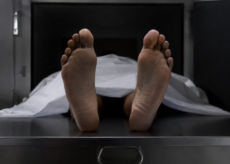 Guadalupe Aguilar denuncia crisis forense: cuerpos pasan hasta 13 años en el SEMEFO