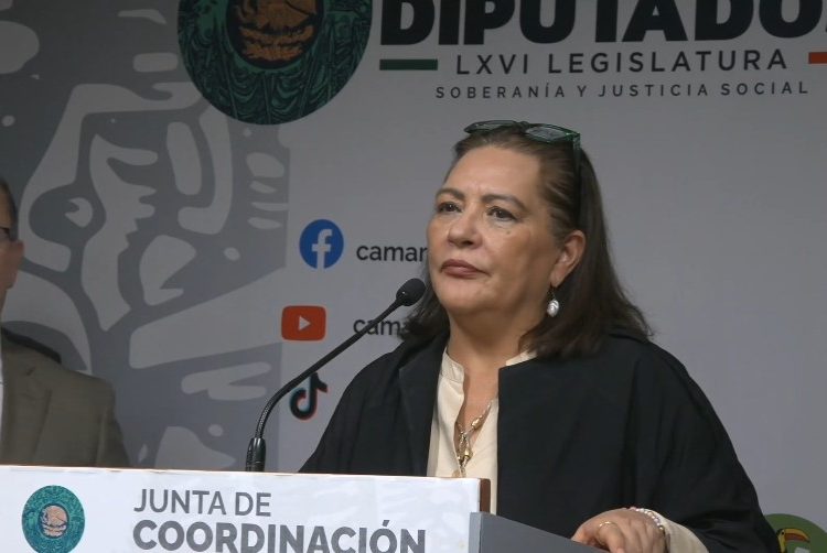 INE propone aplazar la elección judicial hasta 2028 para ahorrar 2 mil mdp