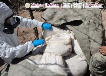 Aseguran tres laboratorios clandestinos de metanfetamina en Sinaloa