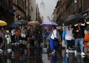 Las fuertes lluvias en la CDMX provocaron encharcamientos, caída de árboles y afectaciones viales