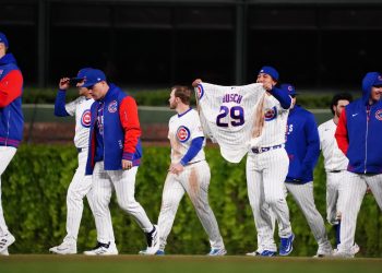 cubs