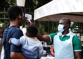 OMS acelera búsqueda de vacuna contra nueva variante de ébola en Congo tras más de 130 muertes