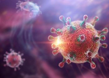 El hantavirus presenta una alta tasa de mortalidad y no tiene vacuna