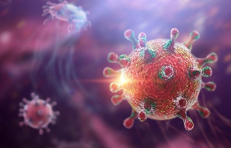 El hantavirus presenta una alta tasa de mortalidad y no tiene vacuna