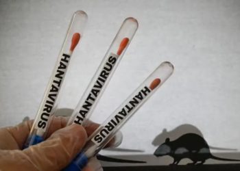 Alerta internacional sanitaria por hantavirus, checa aquí la cronología de casos