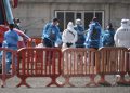 La OMS confirmó 10 casos positivos de hantavirus relacionados con el crucero