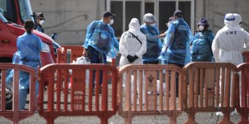 La OMS confirmó 10 casos positivos de hantavirus relacionados con el crucero