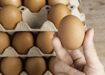 Inflación: electricidad y huevo reducen precios