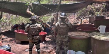 Autoridades federales desmantelaron cinco laboratorios clandestinos de metanfetamina en tres estados