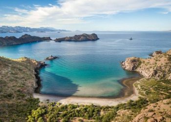 ¿Cuáles son los riesgos para la ballena azul y las actividades económicas tras el decreto que modifica la categoría de Puerto de Loreto?