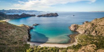 ¿Cuáles son los riesgos para la ballena azul y las actividades económicas tras el decreto que modifica la categoría de Puerto de Loreto?