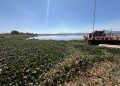 Habitantes de comunidades cercanas a la presa Endhó enfrentan una intensa plaga de mosco Cúlex