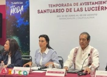 Tlaxcala presenta la Temporada de Luciérnagas 2026 como atractivo turístico