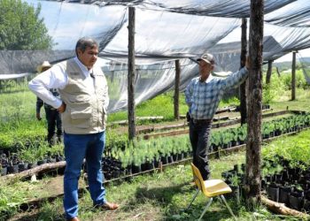 El programa otorga un apoyo mensual de 6 mil 450 pesos a familias campesinas